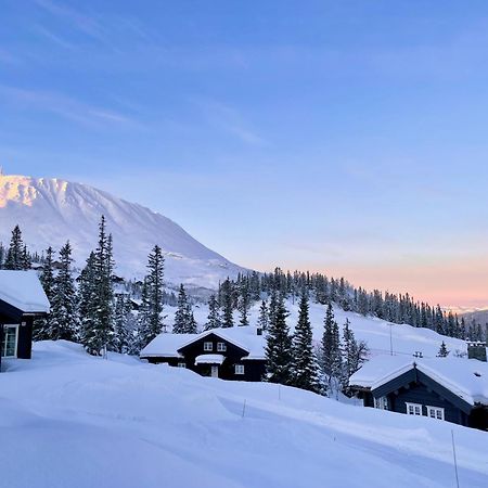 Gausta Lodge Med 6 Sengeplasser I Naerhet Til Gaustatoppen Gaustablikk Exterior photo