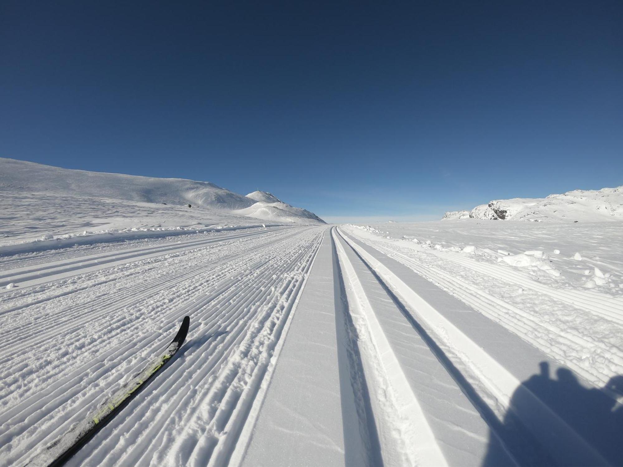 Gausta Lodge Med 6 Sengeplasser I Naerhet Til Gaustatoppen Gaustablikk Exterior photo